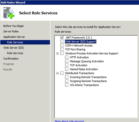 Setting up a Web/Application Windows Server