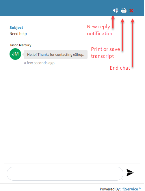 The Active Chat Window The Active Chat Window