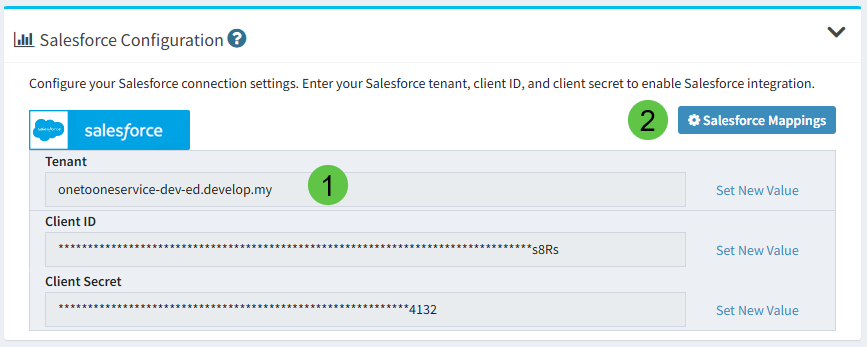 external-apis-salesforce