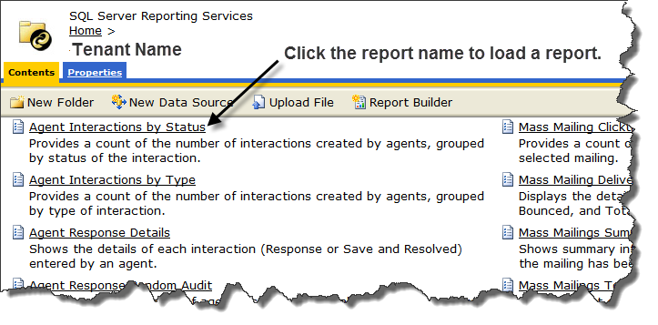 A Standard Report Listing in the SSRS Report Viewer