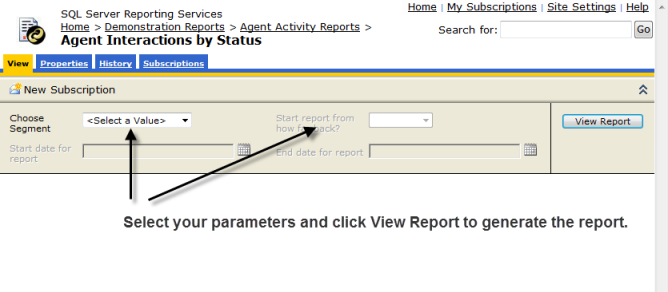 Selecting Parameters for a Report